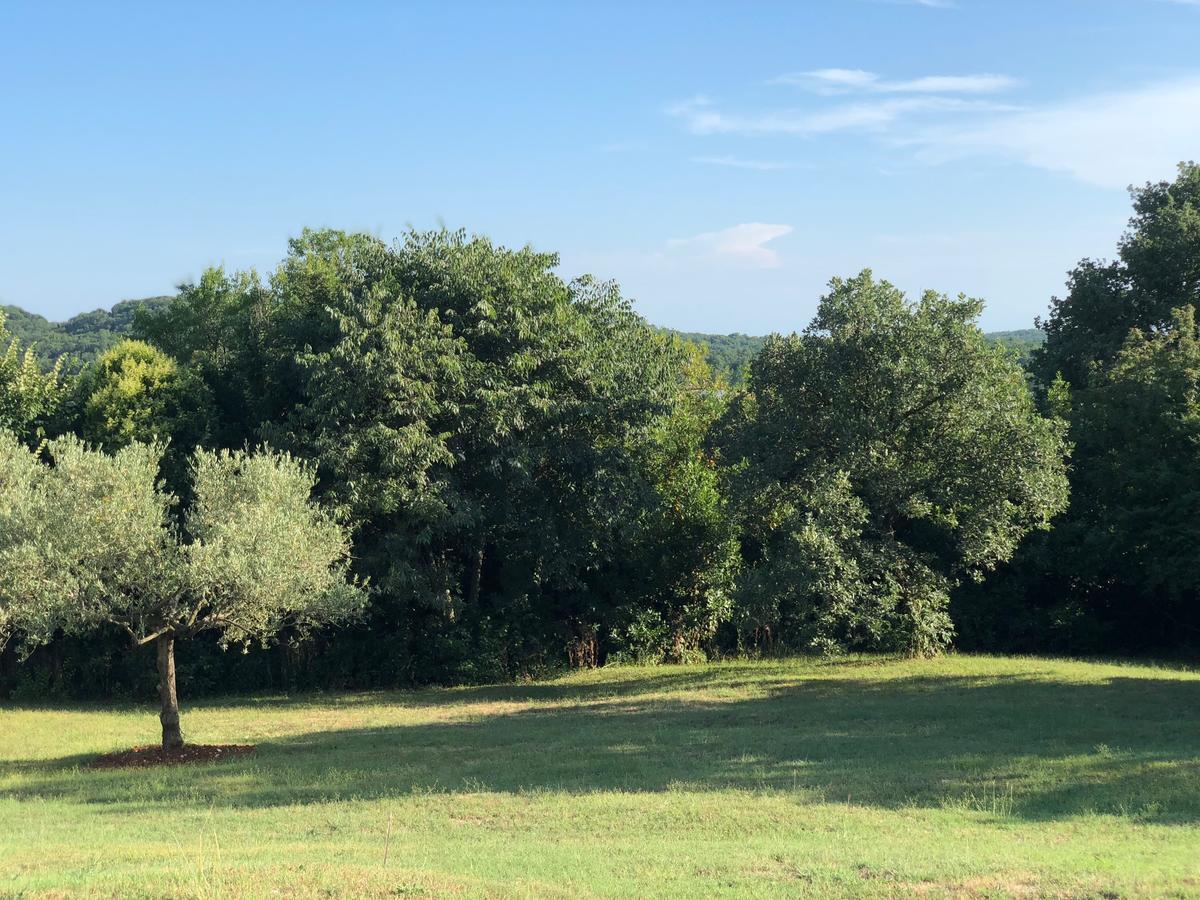 Apartment Verde-adults Only By Rent Istria *